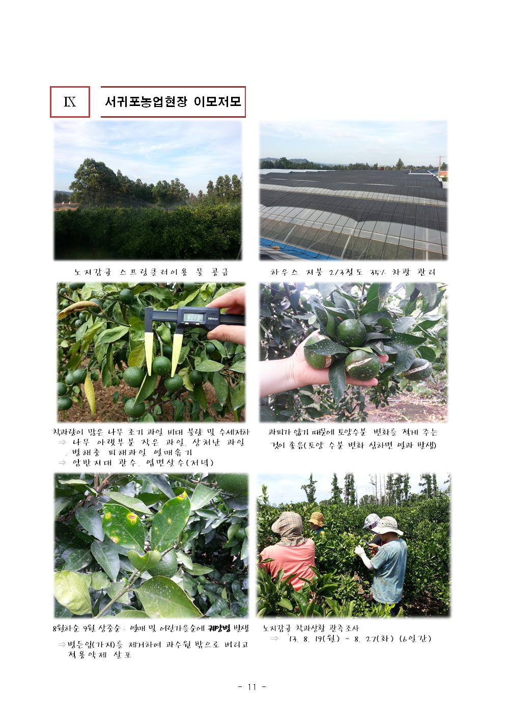 서귀포농업 인터넷 정보지 창간호(8.23) 